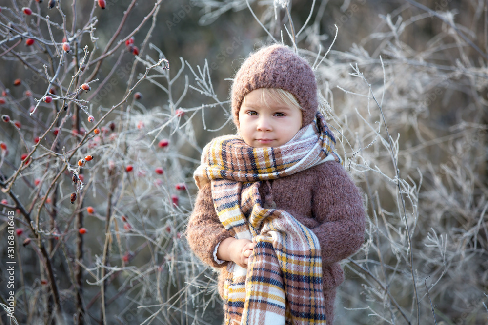 Beautiful toddler boy, dressed in knitted outfit with hat and scarf, playing in frosty morning forest Beautiful toddler boy, dressed in knitted outfit with hat and scarf, playing in frosty morning forest