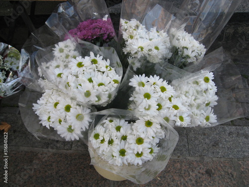 ramos de margaritas blancas y un ramo de siemprevivas lilas preparadas para regalar