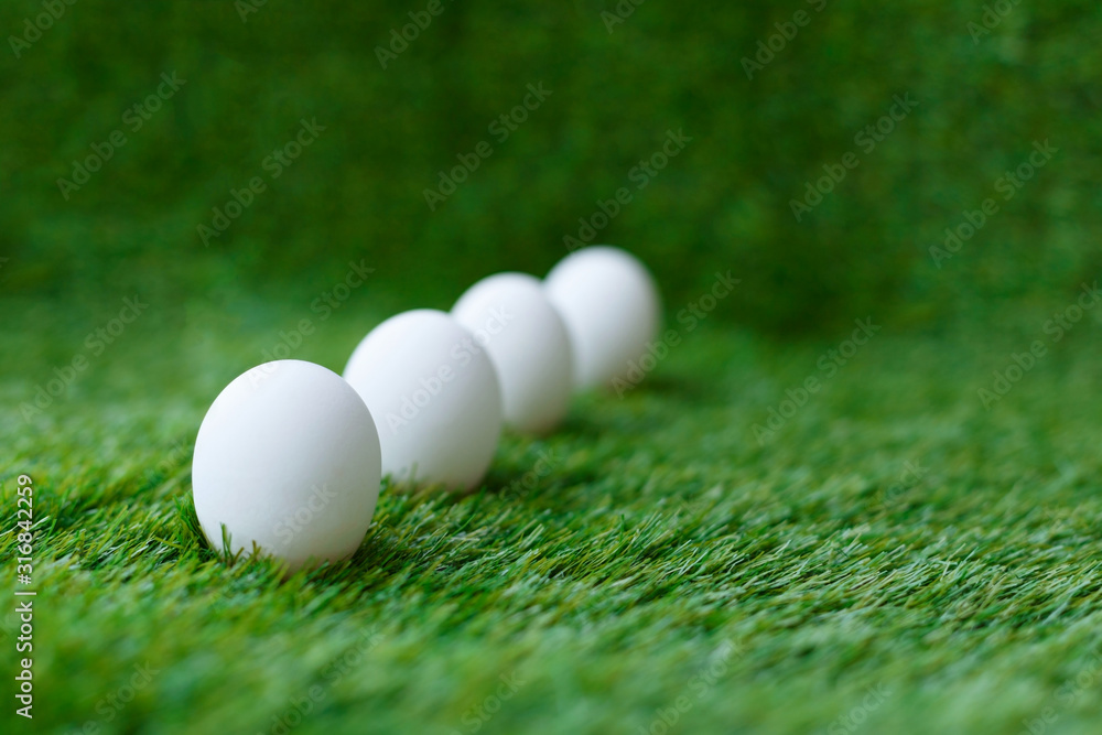 white chicken eggs on green grass, which are a symbol for the celebration of the Easter religious holiday among Christians and Catholics white chicken eggs on green grass, which are a symbol for the celebration of the Easter religious holiday among Christians and Catholics