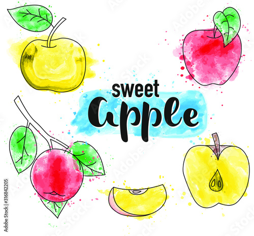 Apple. Whole and pieces. Vector stock illustration. Colored watercolor set isolated on white background. Lettering.