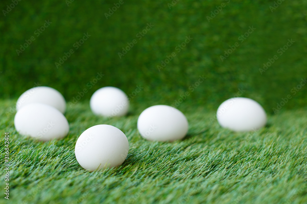 white chicken eggs on green grass, which are a symbol for the celebration of the Easter religious holiday among Christians and Catholics white chicken eggs on green grass, which are a symbol for the celebration of the Easter religious holiday among Christians and Catholics