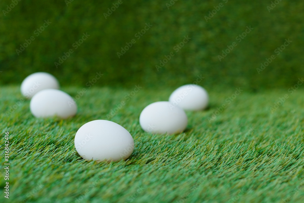 white chicken eggs on green grass, which are a symbol for the celebration of the Easter religious holiday among Christians and Catholics white chicken eggs on green grass, which are a symbol for the celebration of the Easter religious holiday among Christians and Catholics