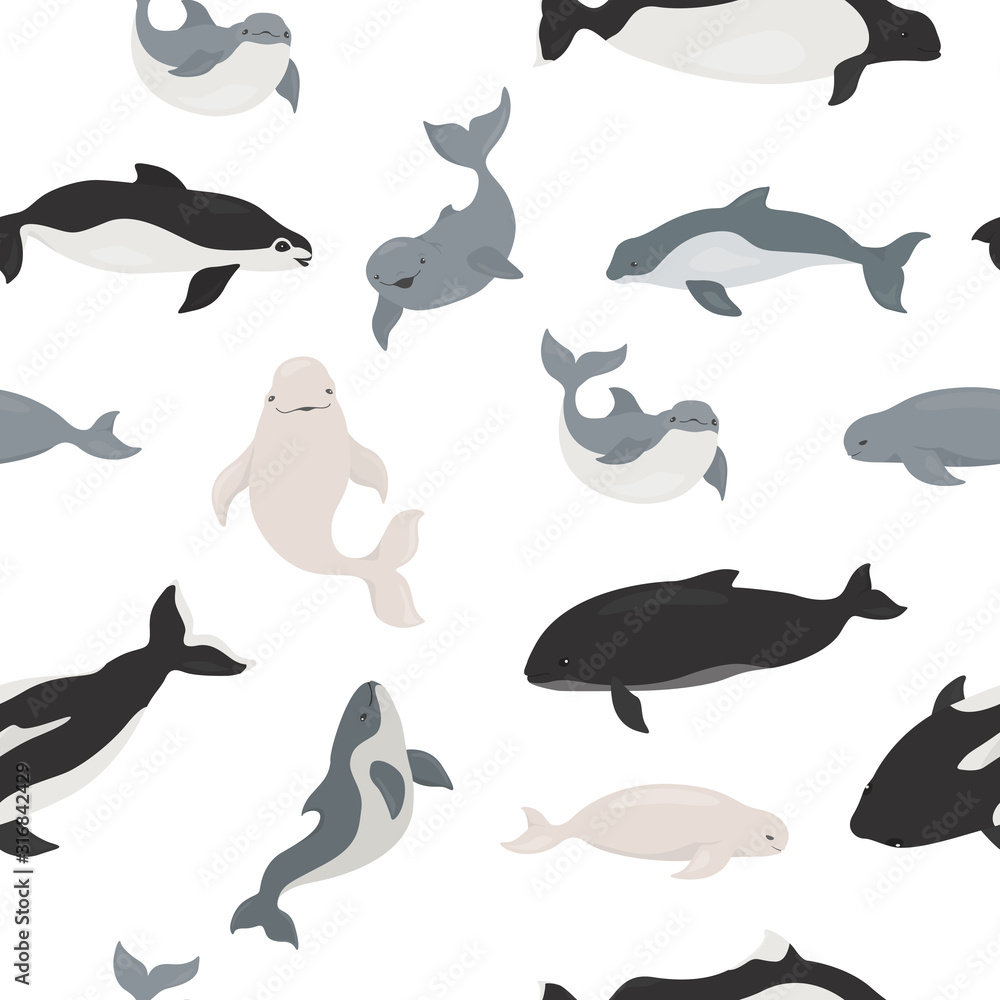 Fototapeta premium Marine mammals collection. Different porpoises set. Cartoon flat style seamless pattern