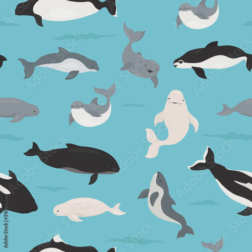 Marine mammals collection. Different porpoises set. Cartoon flat style seamless pattern