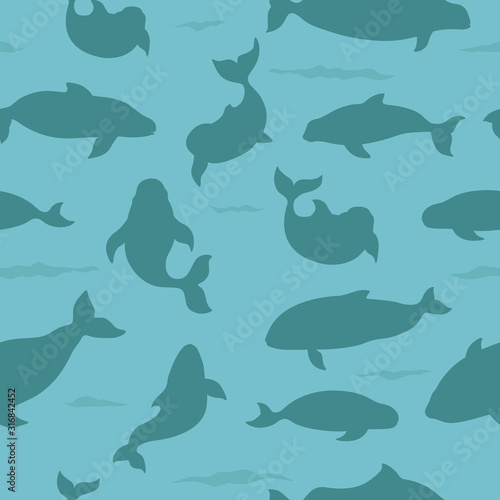 Marine mammals collection. Different porpoises set. Cartoon flat style seamless pattern