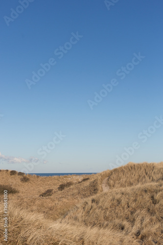 Blue sky with dunes