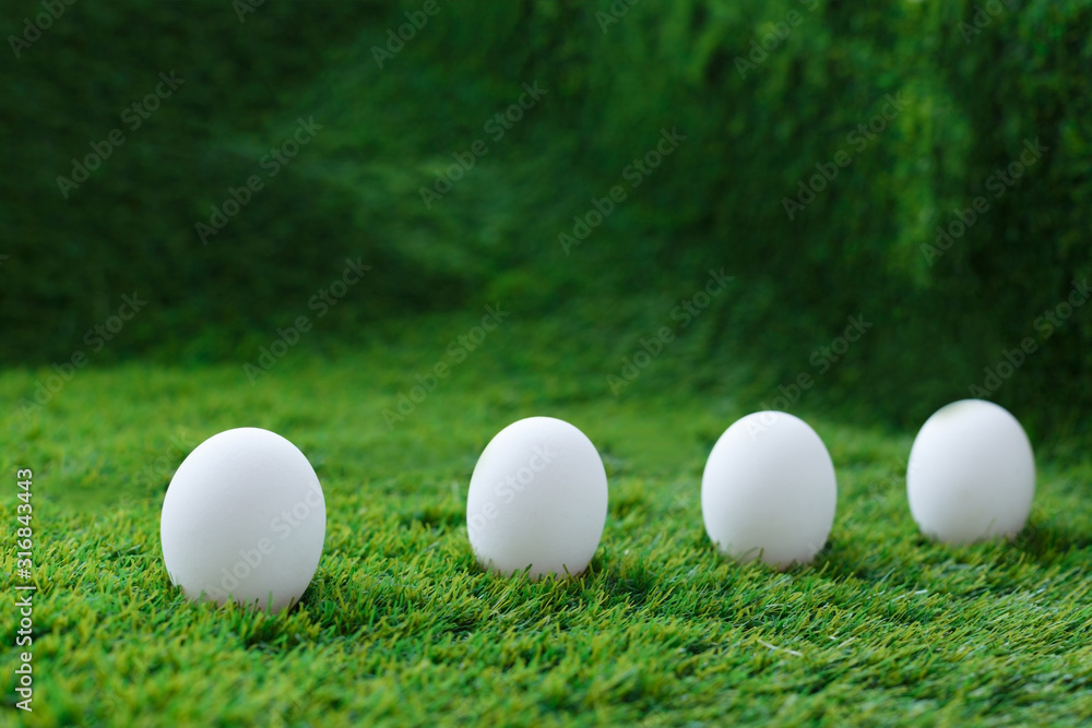 White chicken eggs on green grass, which are a symbol for the celebration of the Easter religious holiday among Christians and Catholics White chicken eggs on green grass, which are a symbol for the celebration of the Easter religious holiday among Christians and Catholics