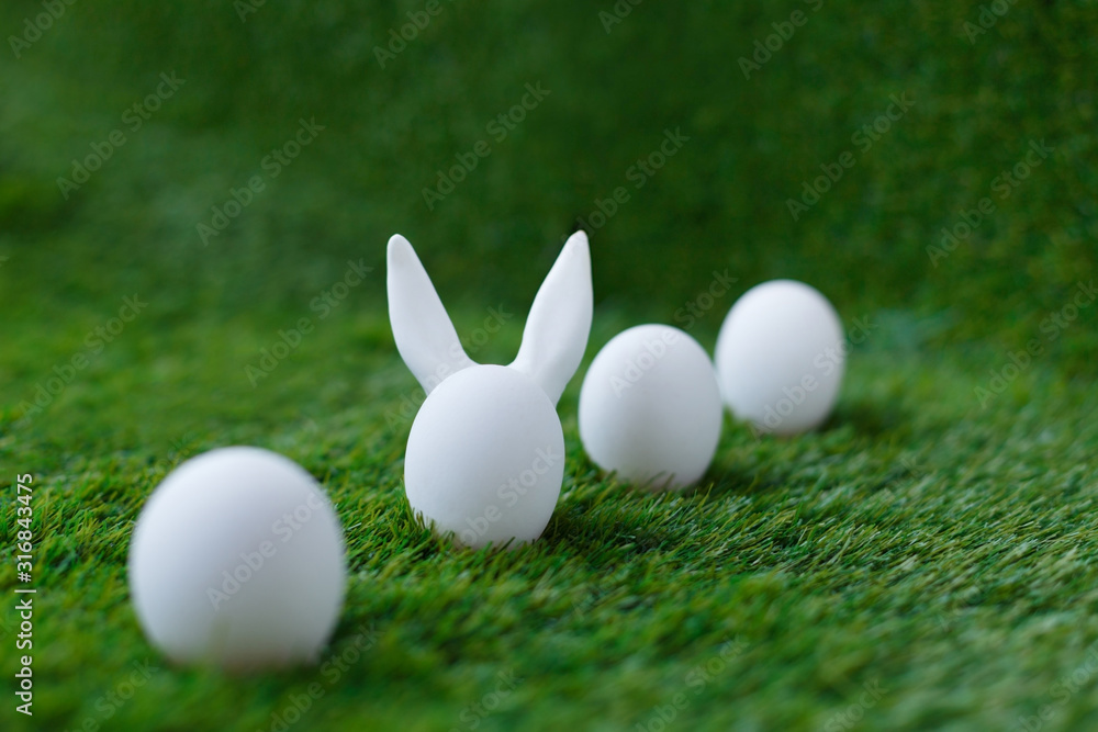 White chicken eggs on green grass, behind which are hidden the ears of the Easter bunny, which are symbols for the celebration of religious holiday among Christians and Catholics White chicken eggs on green grass, behind which are hidden the ears of the Easter bunny, which are symbols for the celebration of religious holiday among Christians and Catholics