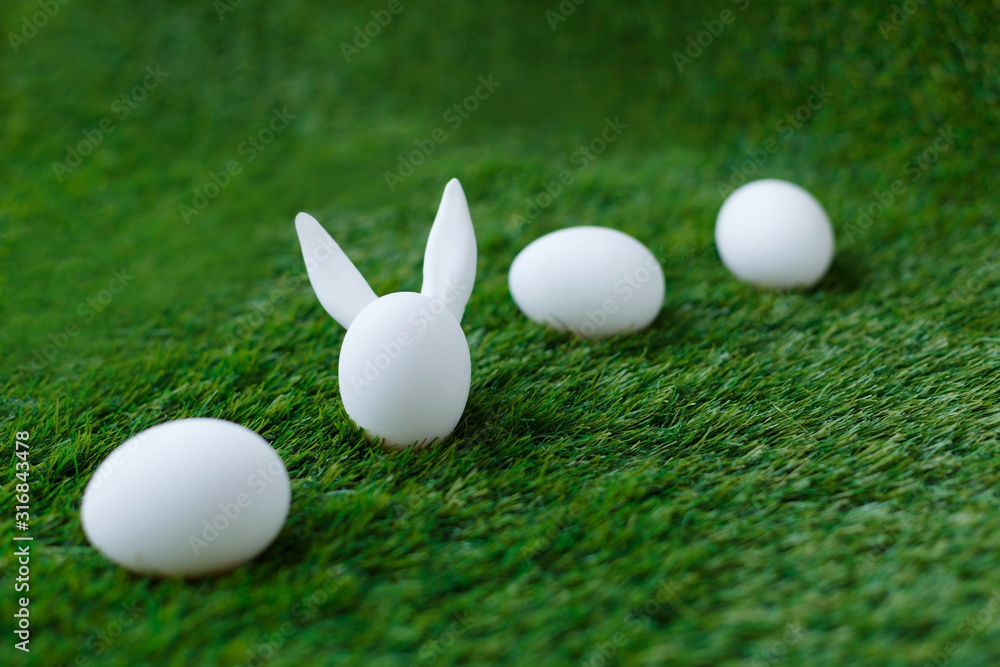 White chicken eggs on green grass, behind which are hidden the ears of the Easter bunny, which are symbols for the celebration of religious holiday among Christians and Catholics White chicken eggs on green grass, behind which are hidden the ears of the Easter bunny, which are symbols for the celebration of religious holiday among Christians and Catholics