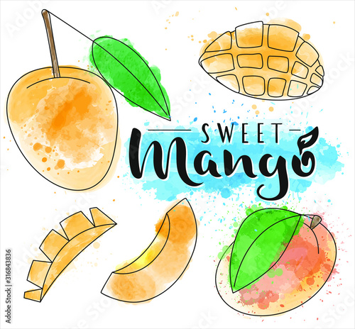 Mango. Whole and pieces. Vector stock illustration. Watercolor fruit set on white background. Lettering.  