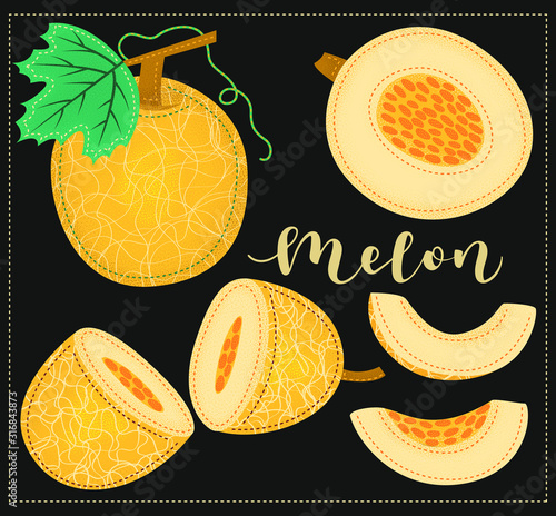 Melon. Whole and pieces. Vector stock illustration. Colored fruit set using doodle art on black background. Lettering.  