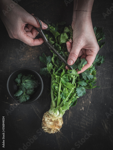 Woman's hands cutting celery green leaves on celery root. Dark