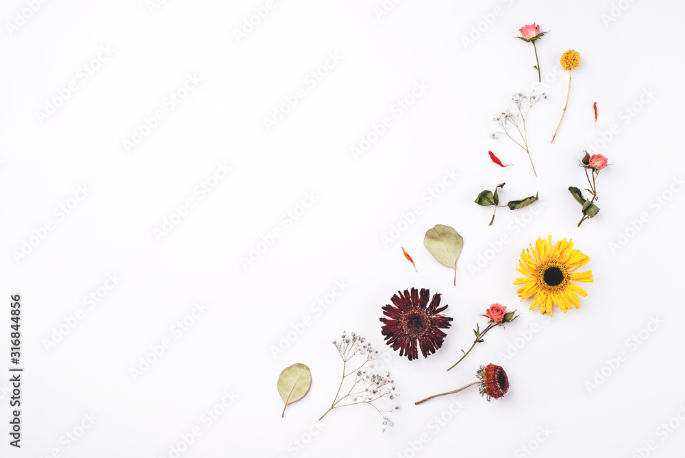 Composition of dry flowers on white background. Flat lay, top view. Copy space for text.