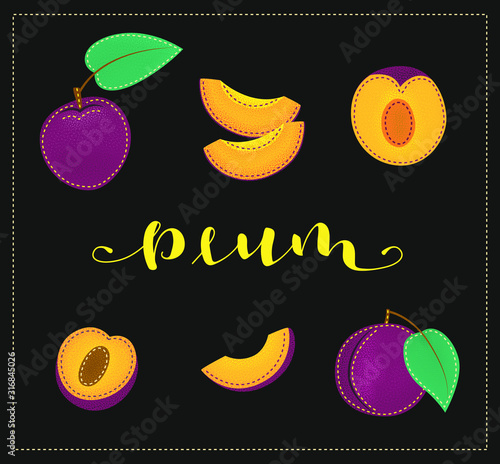 Plum. Whole and pieces. Vector stock illustration. Colored fruit set  isolated on black background. Lettering.