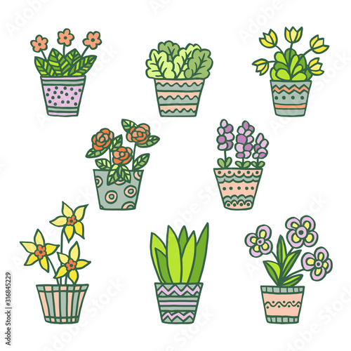 Set with hand-drawn colorful painted pots with indoor plants, isolate on a white background