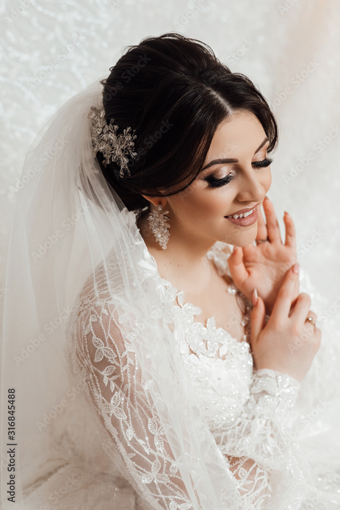 Portrait of gorgeous young bride in luxury wedding dress. Morning of the bride. Elegant hairstyle and makeup. Wedding. Girl with veil and jewelry at home. Portrait of gorgeous young bride in luxury wedding dress. Morning of the bride. Elegant hairstyle and makeup. Wedding. Girl with veil and jewelry at home.