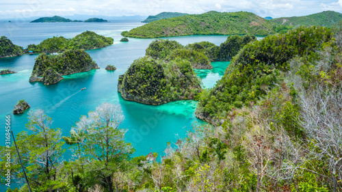 Fototapeta Naklejka Na Ścianę i Meble -  Painemo Island, Blue Lagoon, Raja Ampat, West Papua, Indonesia