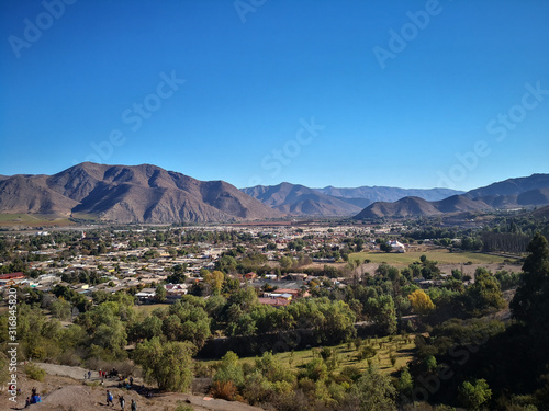 Valle Elqui wine chile vicuña photo