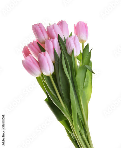 pink tulip flowers isolated without shadow clipping path © azure