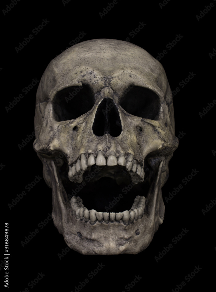 Obraz premium Human Skull Isolated on black