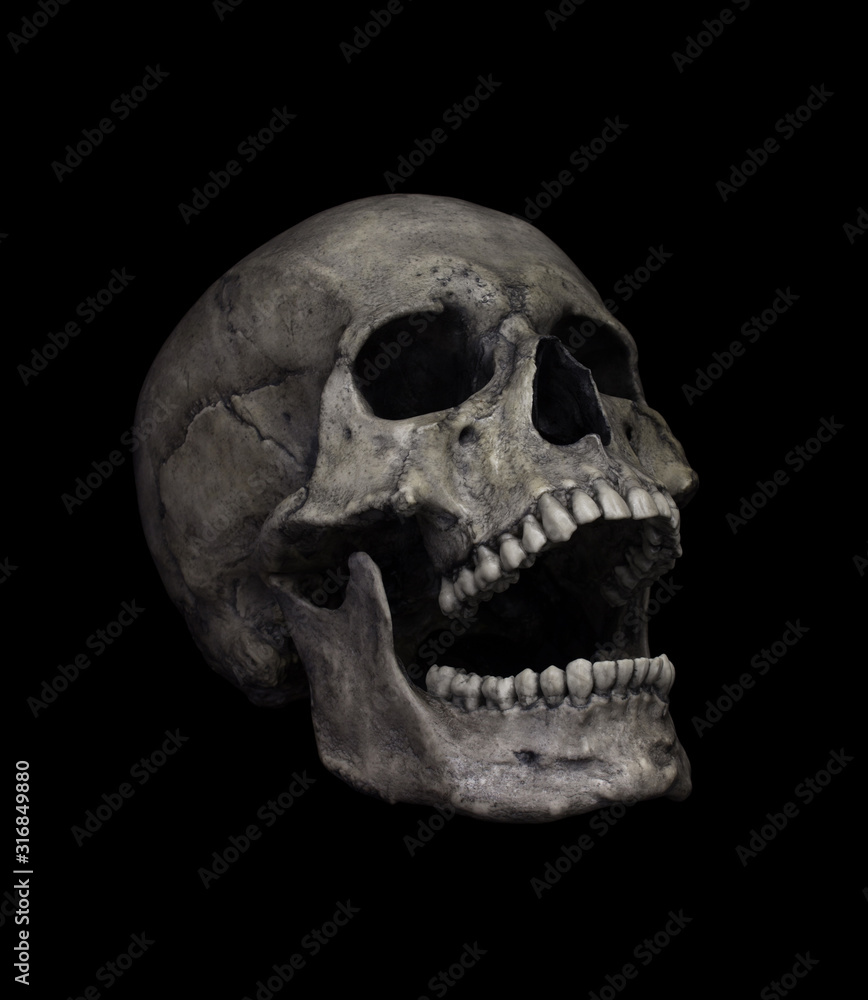 Obraz premium Human Skull Isolated on black