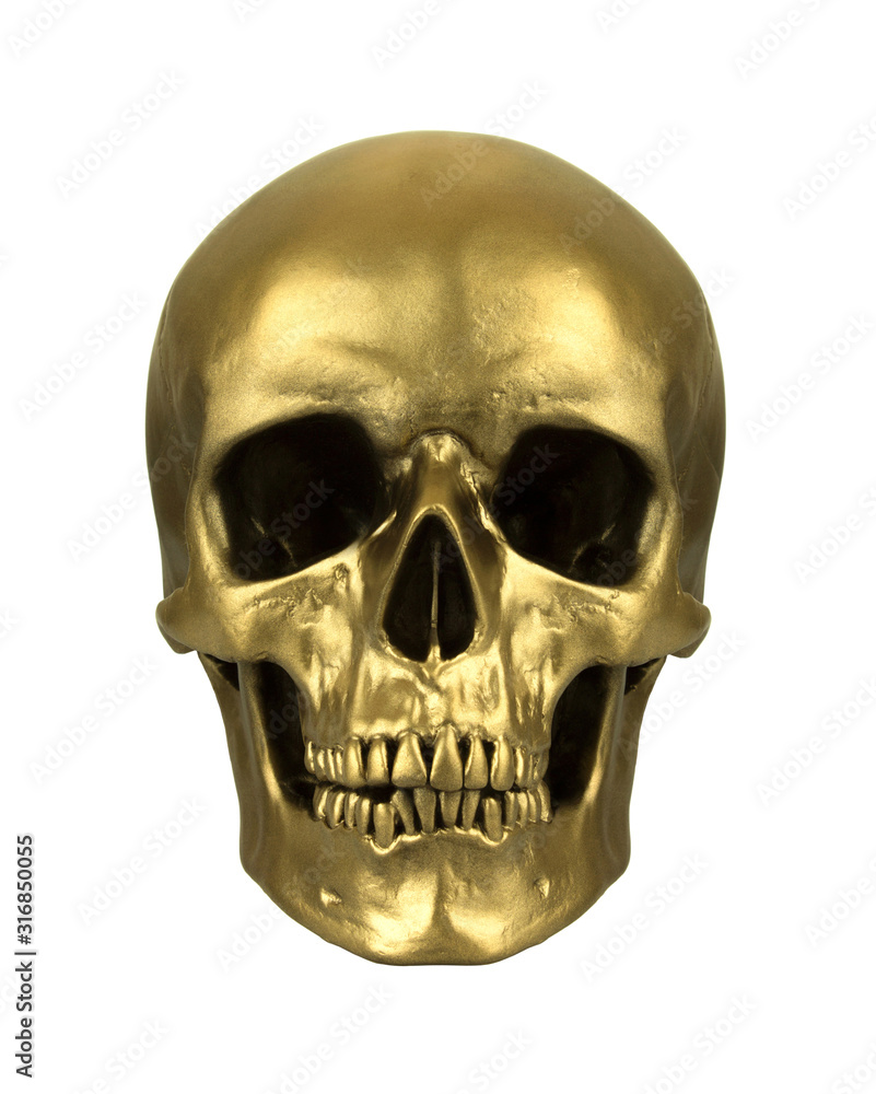 Gold human skull isolated Gold human skull isolated