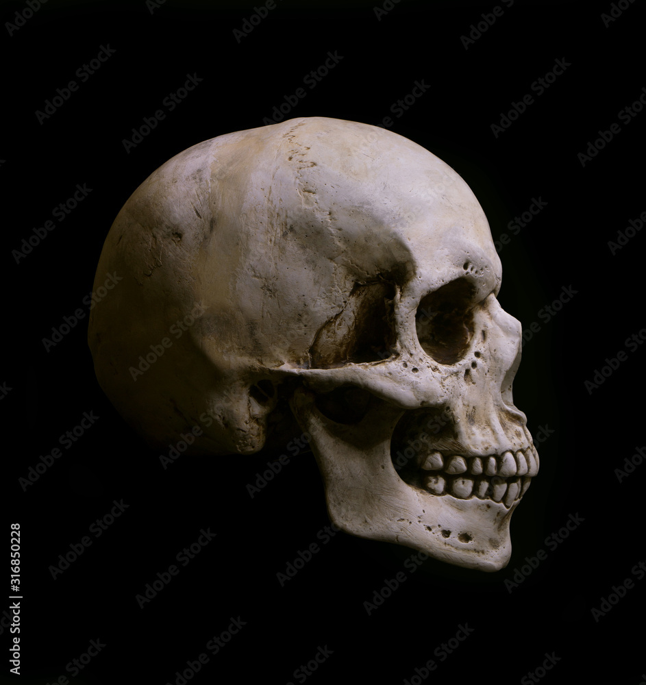 Obraz premium Human Skull Isolated on black