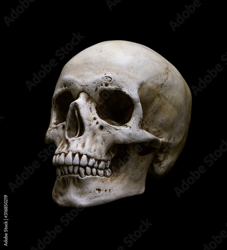 Human Skull Isolated on black