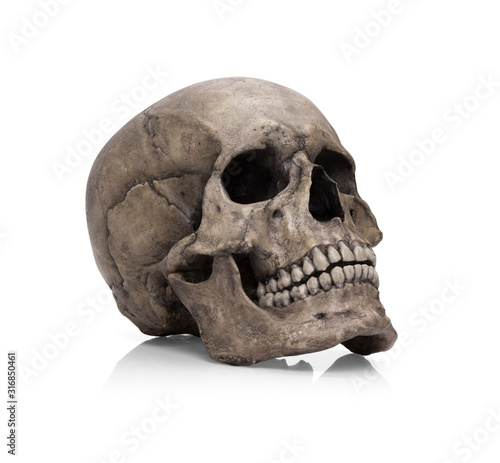 Human skull, isolated on white background