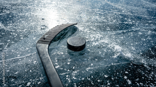 Принти на полотні Hockey puck on a frozen pond