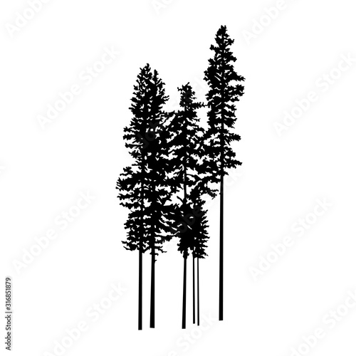 Silhouette of complex pine trees. Handmade.