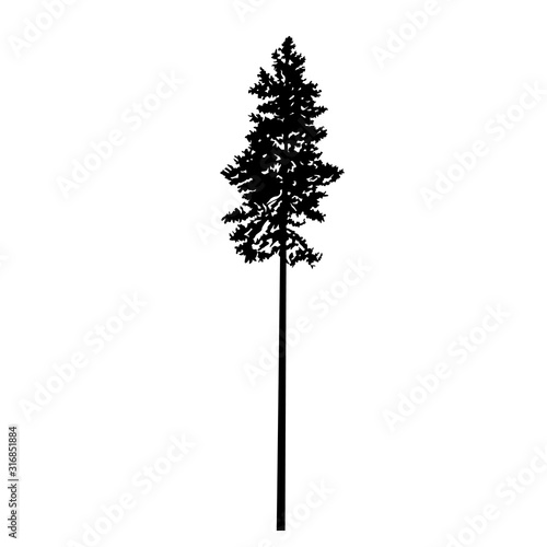 Silhouette of skinny pine tree. Hand made.