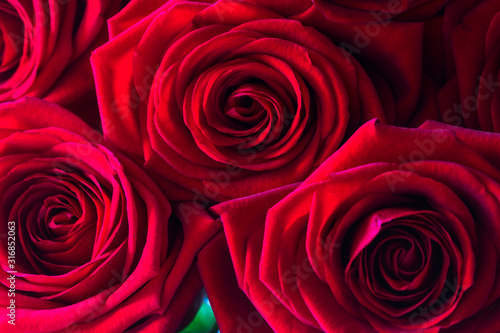 Close up bouquet of red roses for Valentines day.