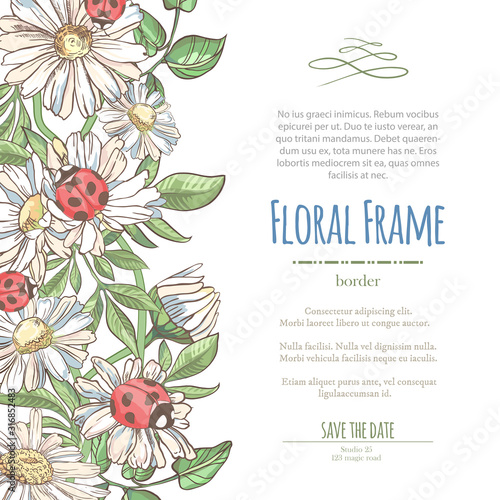 Vector delicate invitation with white camomile and laybugs for wedding, marriage, bridal, birthday, Valentine's day.