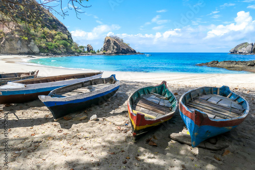 A row of colorful boats parked on a shore of idyllic Koka Beach in Flores  Indonesia. The boats are lined up under the trees  in the shade. There are some cliffs in the back. Hidden gem of Indonesia.