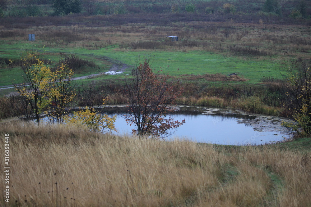lake in forest lake in forest
