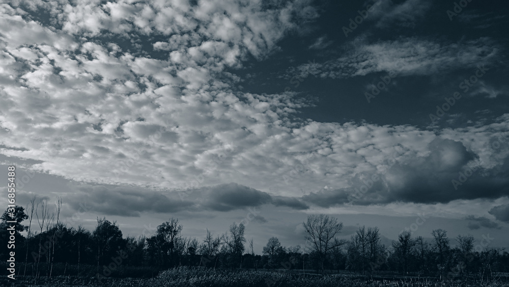 Unusual clouds and sky over the forest.  Web banner.