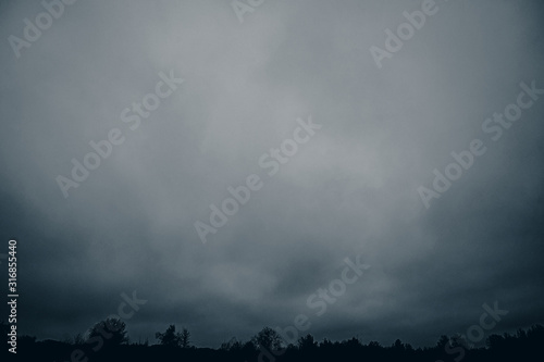 Mysterious rain clouds and forest in the evening. Web banner.