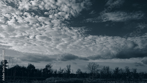 Unusual clouds and sky over the forest. Web banner.