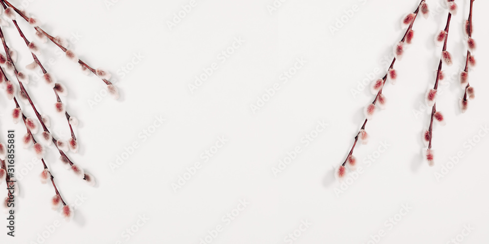 Beautiful flowers composition. Spring background. Branches of willows on white background. Valentines Day, Easter, Happy Women's Day, Mother's day. Flat lay, top view Beautiful flowers composition. Spring background. Branches of willows on white background. Valentines Day, Easter, Happy Women's Day, Mother's day. Flat lay, top view