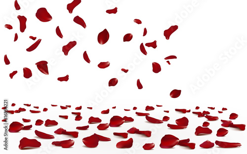 Falling red rose petals seasonal confetti, blossom elements flying isolated. Abstract floral background with beauty roses petal. design for greeting cards on March 8, Women Day, Valentine's Day.