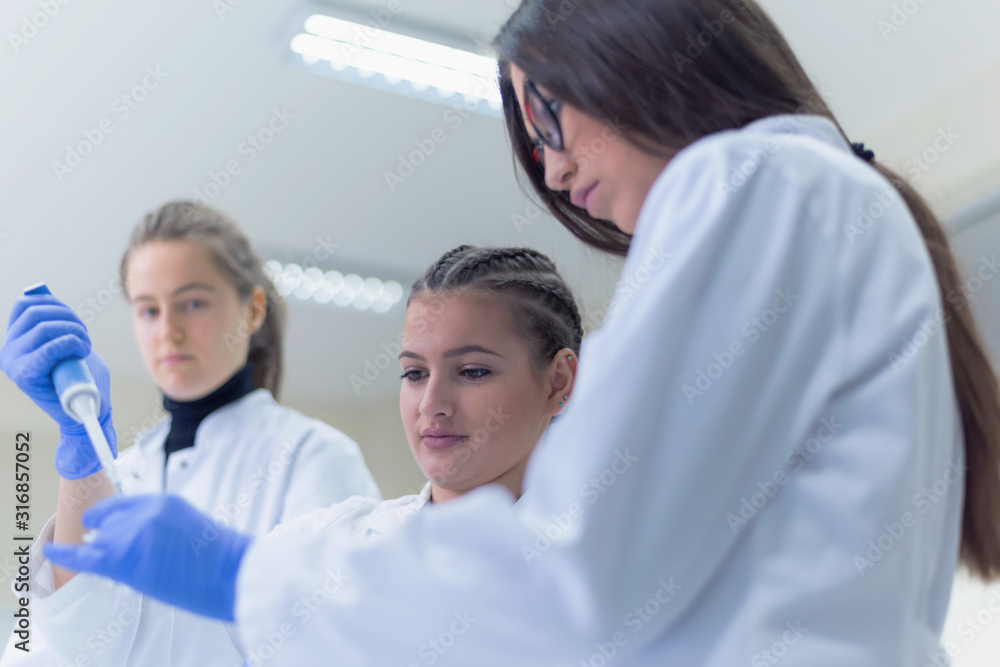 Fototapeta premium Group of Laboratory scientists working at lab with test tubes, test or research in clinical laboratory.Science, chemistry, biology, medicine and people concept.
