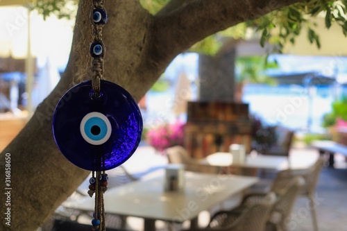 Turkish blue evil eye amulets ("nazar boncugu") hanging from a tree branch