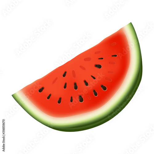 Watermelon in realistic style on white background. Vector watermelon slice. Diet nutrition sign symbol. Summertime fruit. Bright sweet color. Delicious dessert. Realistic style. Fresh fruit.