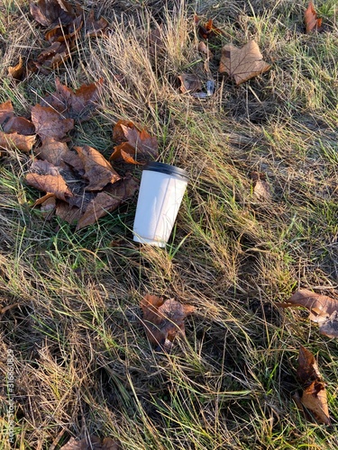 Coffee to go cup in nature