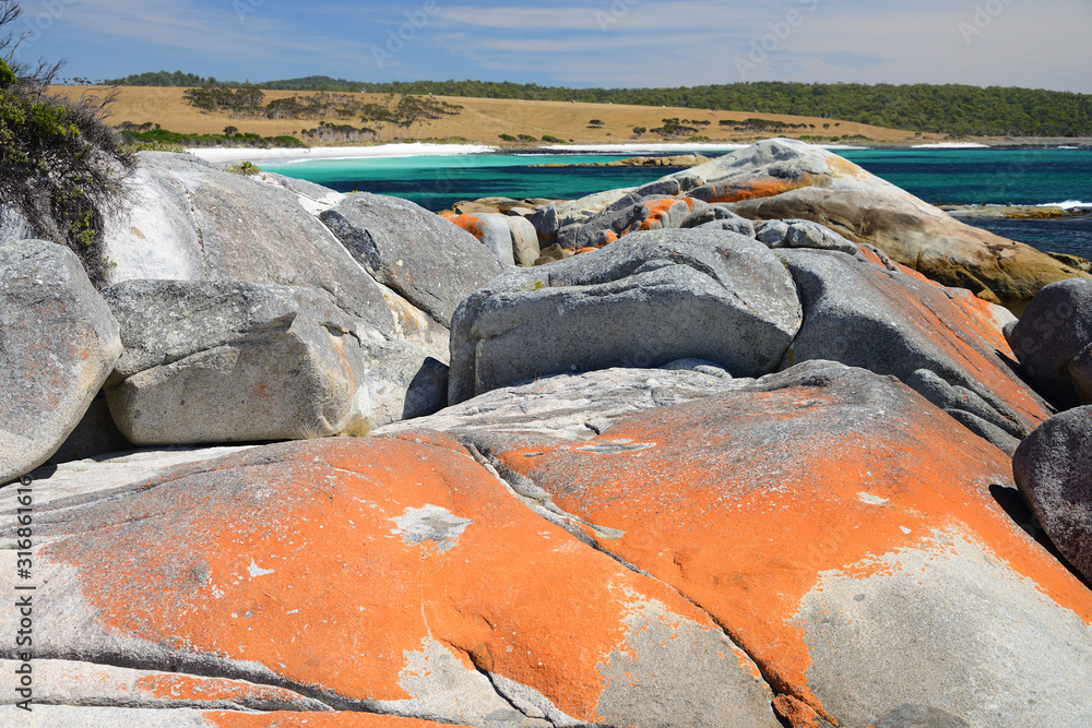 Φωτογραφία Pristine beaches of The Garden, Bay of Fires, Tasmania, Australia