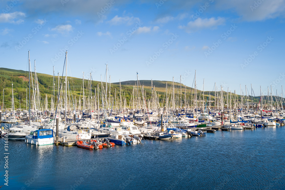 Forest of sailing yacht masts at Largs marina. Scotland.