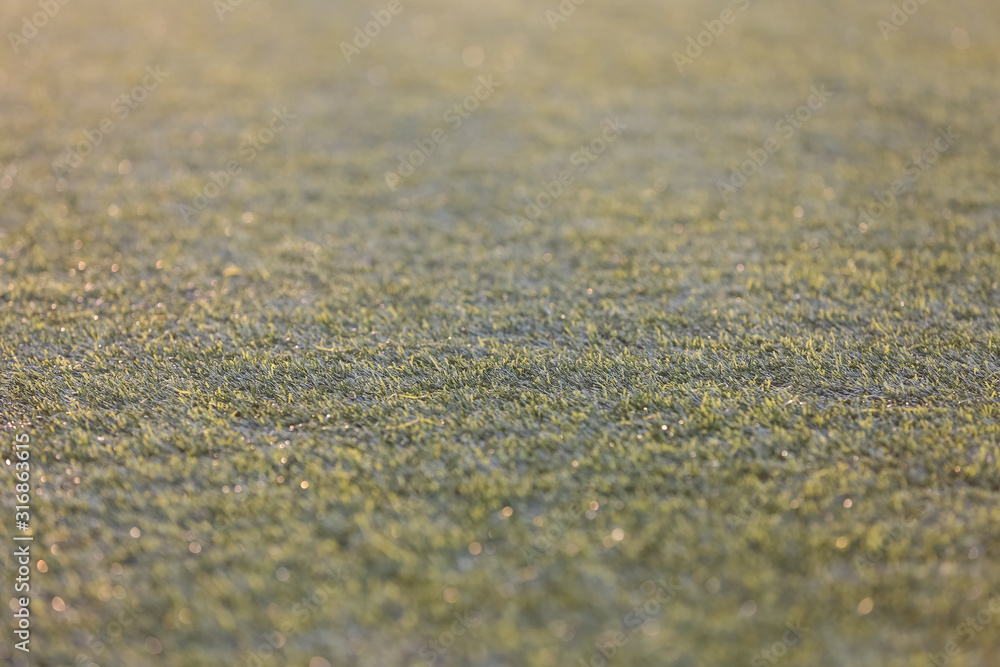 Synthetic green grass. Selective focus. Background, texture. Synthetic green grass. Selective focus. Background, texture.