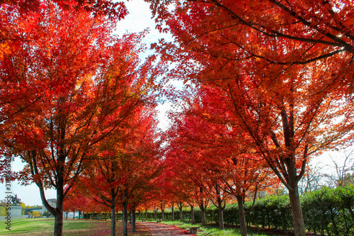 autumn in the park © Hailey