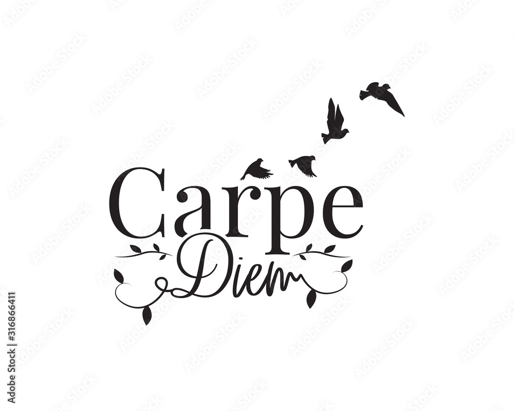 Carpe diem, Seize the day, vector. Wording design, lettering. Wall